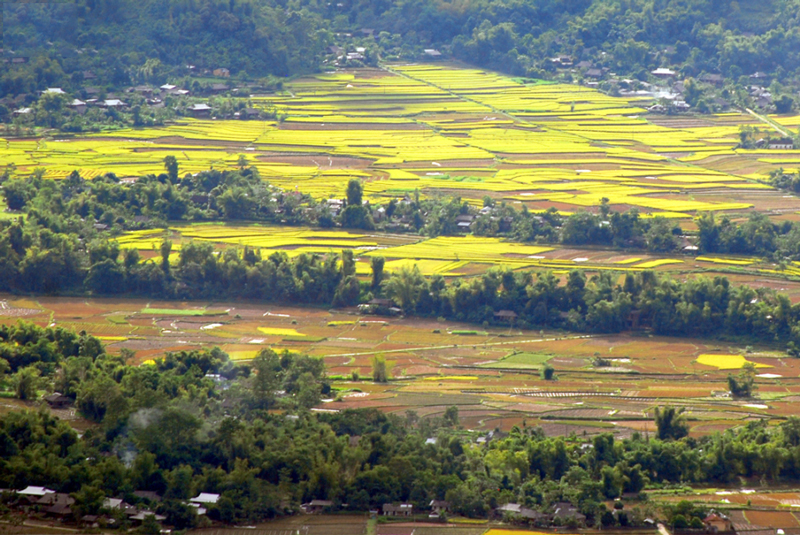 thung lung muong lo