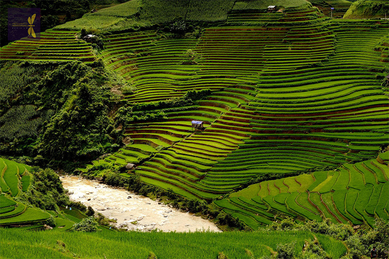 canh dep de xu phinh